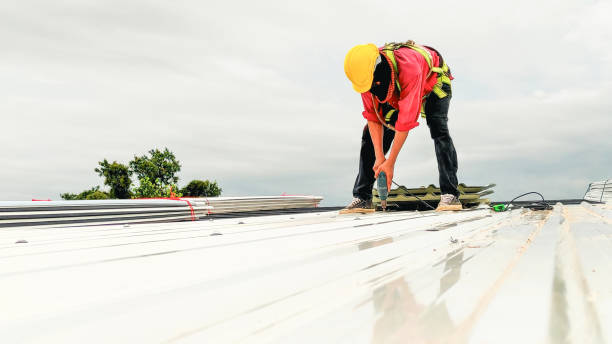 Best Steel Roofing  in Southfield, MI