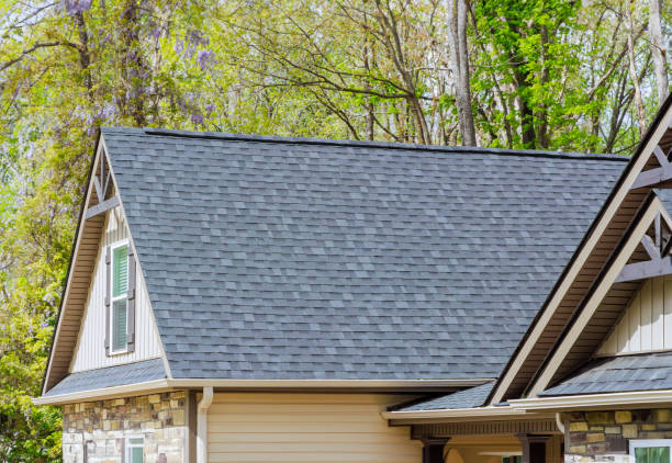 Best Skylight Installation and Repair  in Southfield, MI